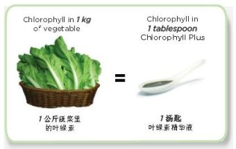Chlorophyll in Vegetable