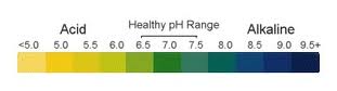 Healthy pH Range